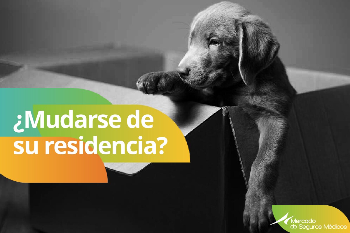 Opciones de cobertura cuando se muda