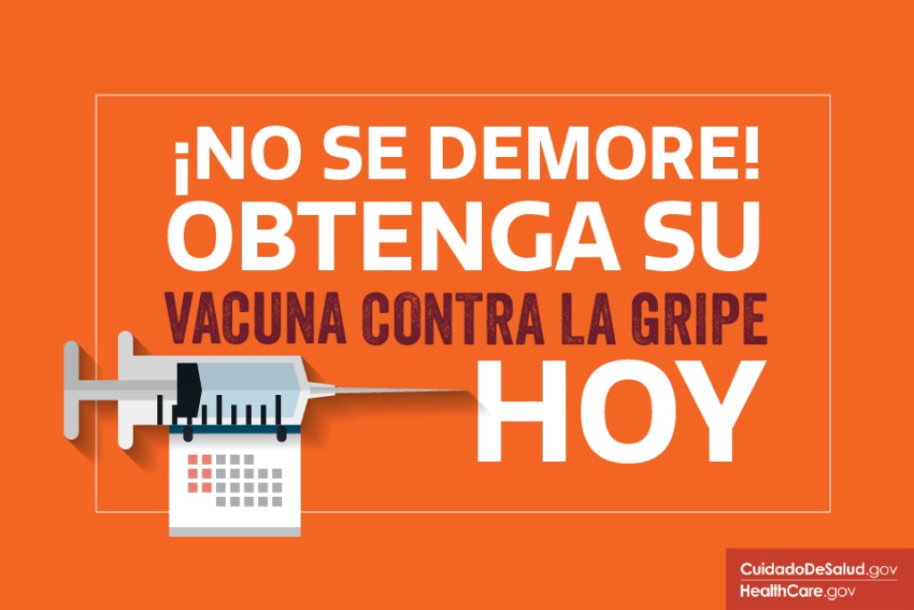 Ilustración de una vacuna antigripal Imagen: ¡No espere más! Vacúnese contra la gripe hoy